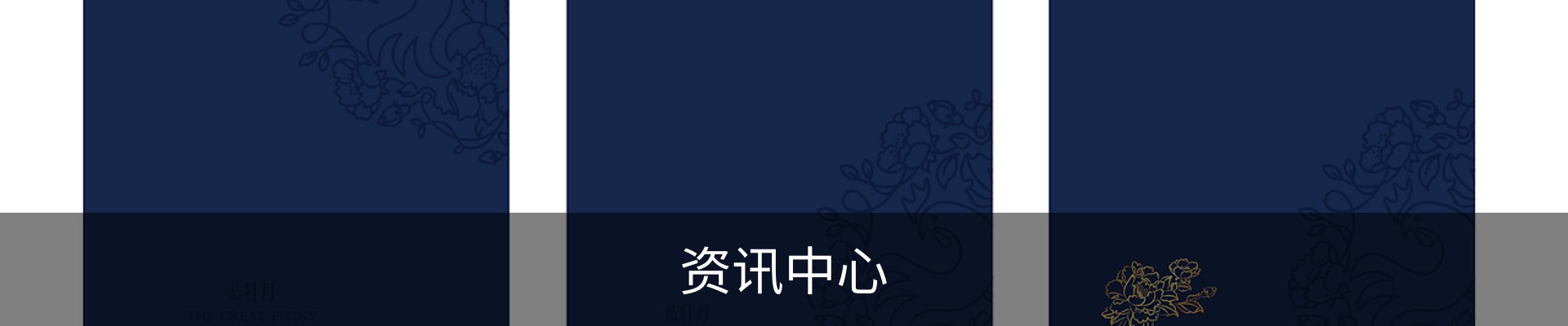 内页banner